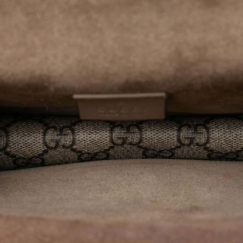 Gucci Small GG Supreme Dionysus Crossbody Brown Canvas Very good condition - Model View