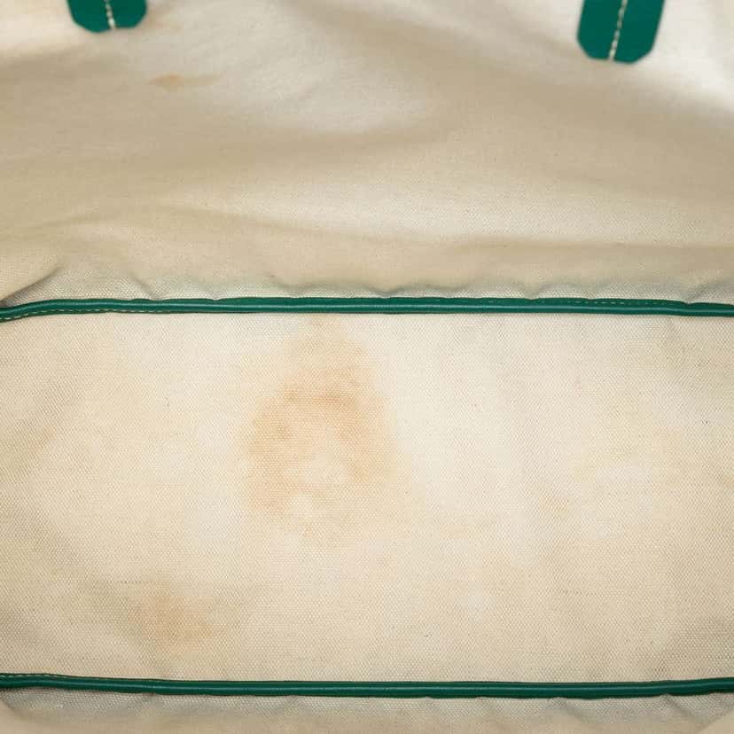 Goyard Goyardine Saint Louis PM Green Canvas Very good condition - Model View