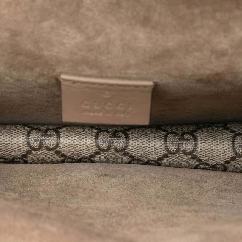 Gucci Small GG Supreme Dionysus Crossbody Brown Canvas Very good condition - Model View