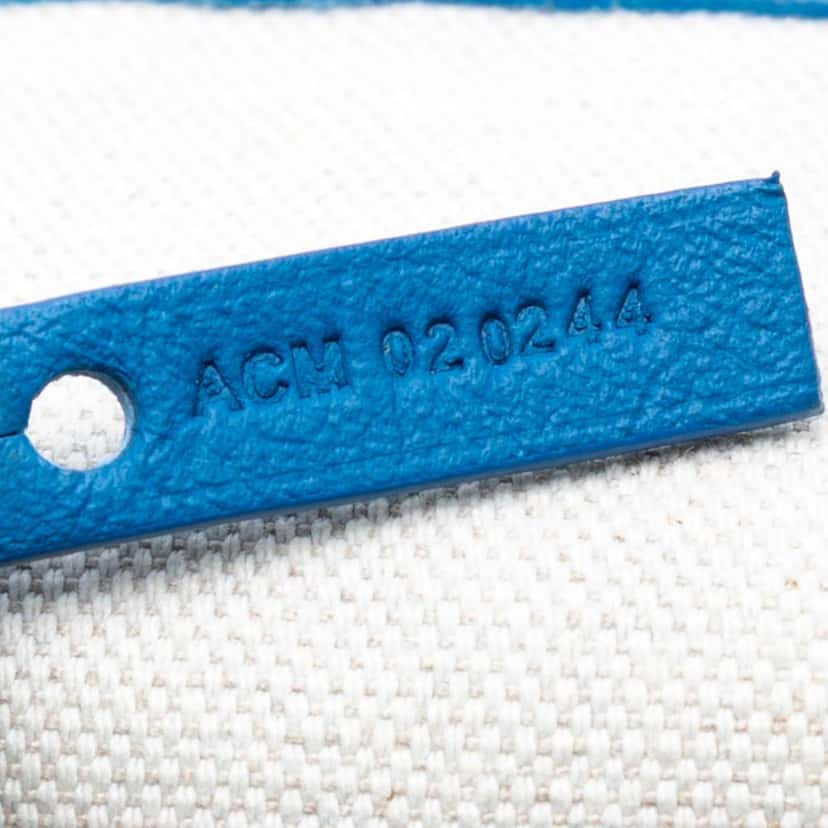 Goyard Goyardine Saint Louis PM Blue Canvas Very good condition - Box View