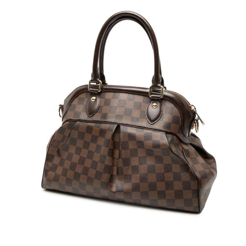 Louis Vuitton Damier Ebene Trevi PM Brown Very good condition - Back View