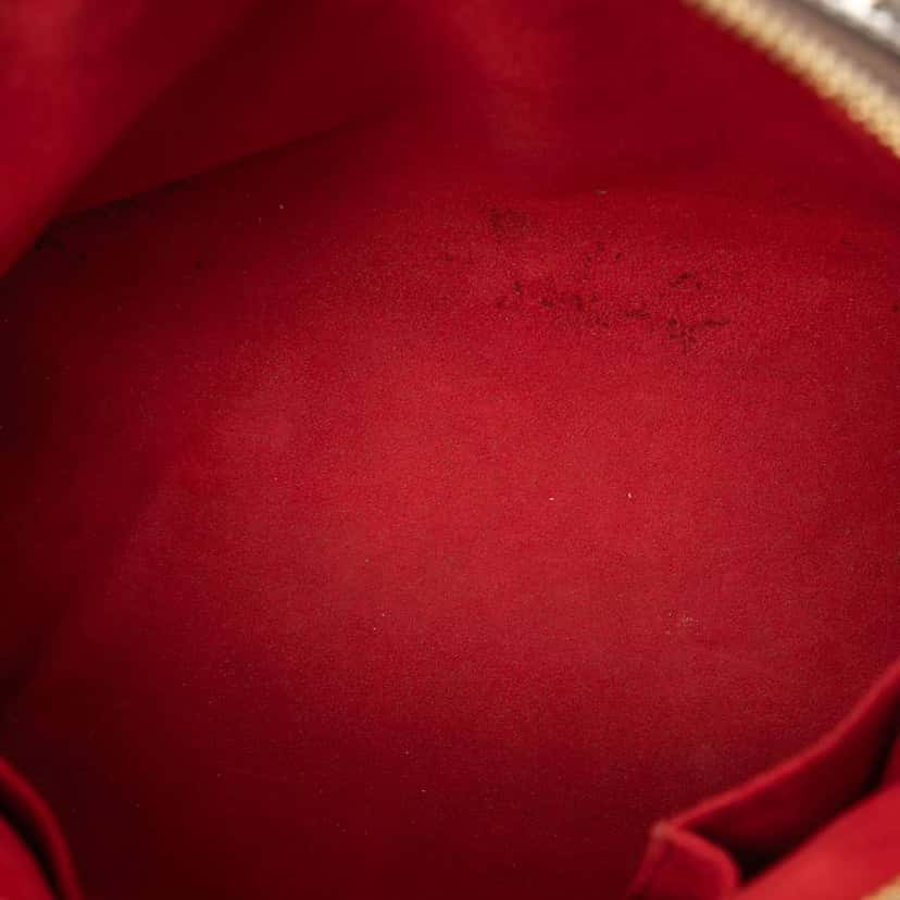 Louis Vuitton Damier Ebene Trevi PM Brown Very good condition - Model View