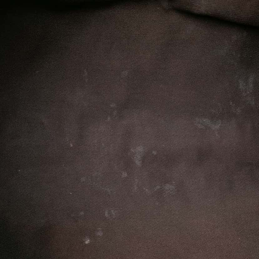 Gucci GG Canvas Web New Ladies Tote Brown Canvas Good condition - Model View