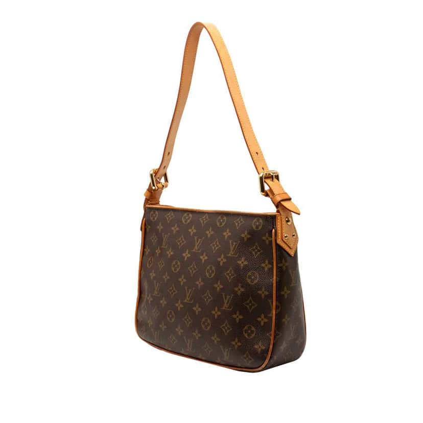 Louis Vuitton Monogram Hudson GM Brown Very good condition - Back View