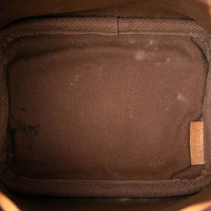 Louis Vuitton Monogram Nano Noe Brown Good condition - Model View