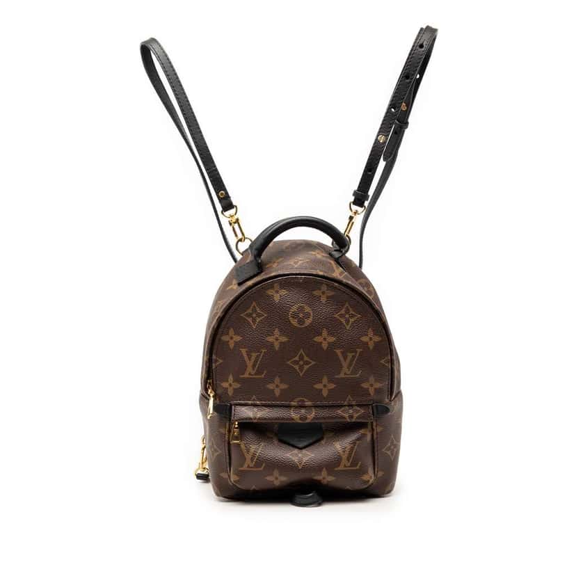 Louis Vuitton Monogram Mini Palm Springs Brown Very good condition - Front View