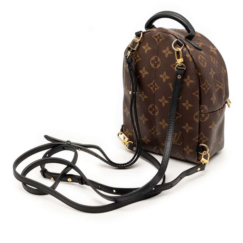 Louis Vuitton Monogram Mini Palm Springs Brown Very good condition - Back View