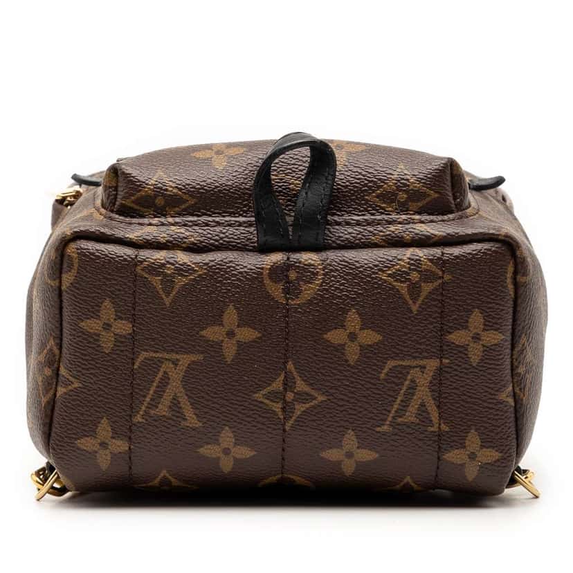 Louis Vuitton Monogram Mini Palm Springs Brown Very good condition - Inside View