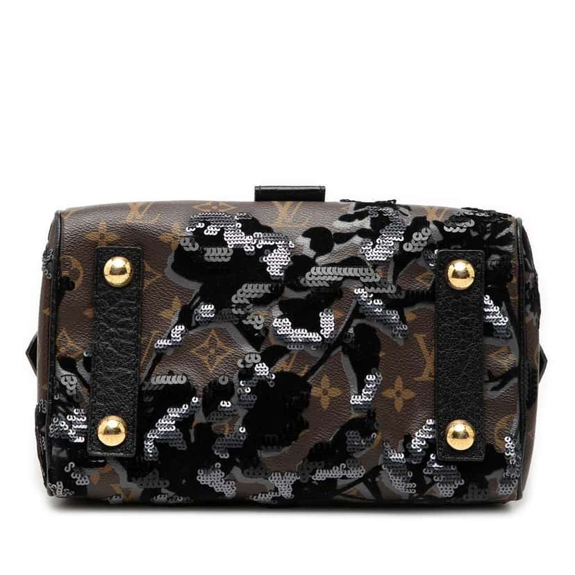 Louis Vuitton Monogram Fleur De Jais Carrousel Brown Good condition - Inside View