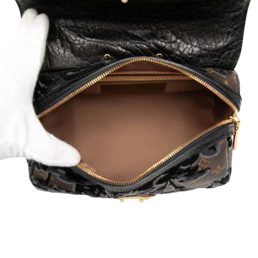 Louis Vuitton Monogram Fleur De Jais Carrousel Brown Good condition - Model View