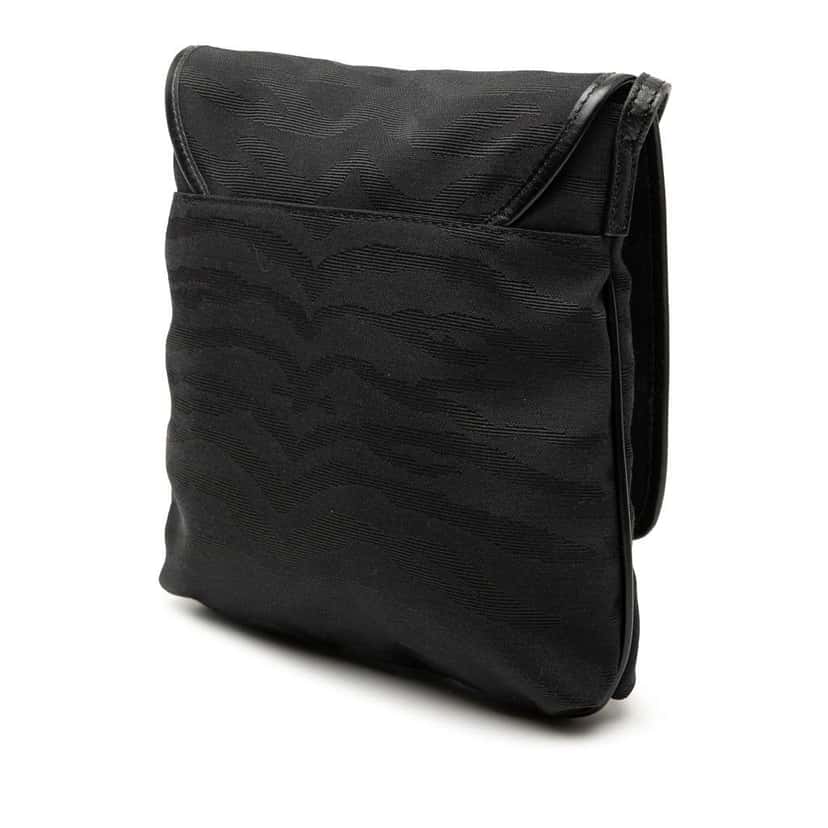 Fendi Zebra Printed Canvas Crossbody Black Canvas Very good condition - Back View