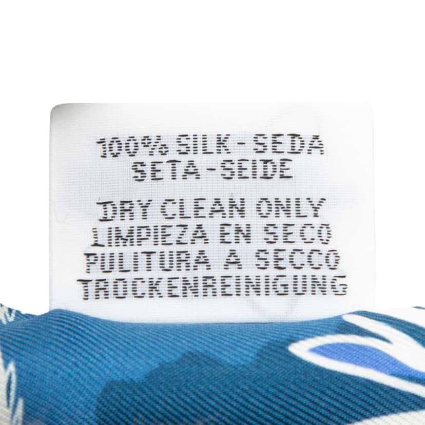 Hermès Rayures d Ete Silk Twilly Scarf Blue Silk Good condition - Box View