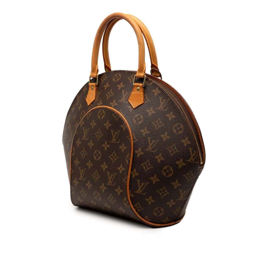 Louis Vuitton Monogram Ellipse MM Brown Good condition - Back View