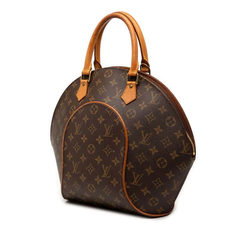 Louis Vuitton Monogram Ellipse MM Brown Good condition - Back View