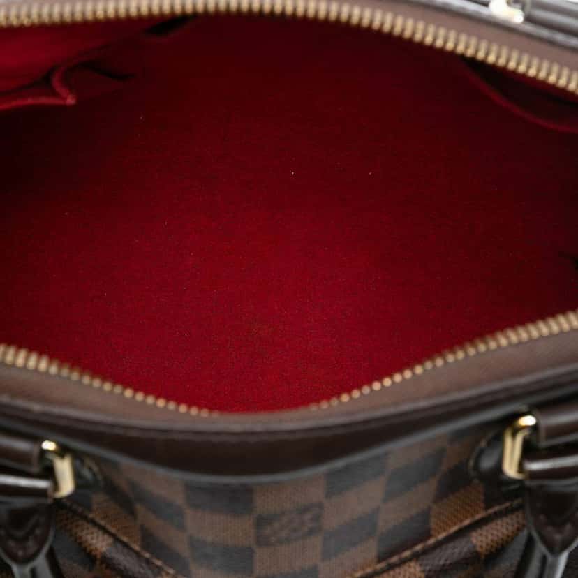 Louis Vuitton Damier Ebene Trevi PM Brown Very good condition - Model View