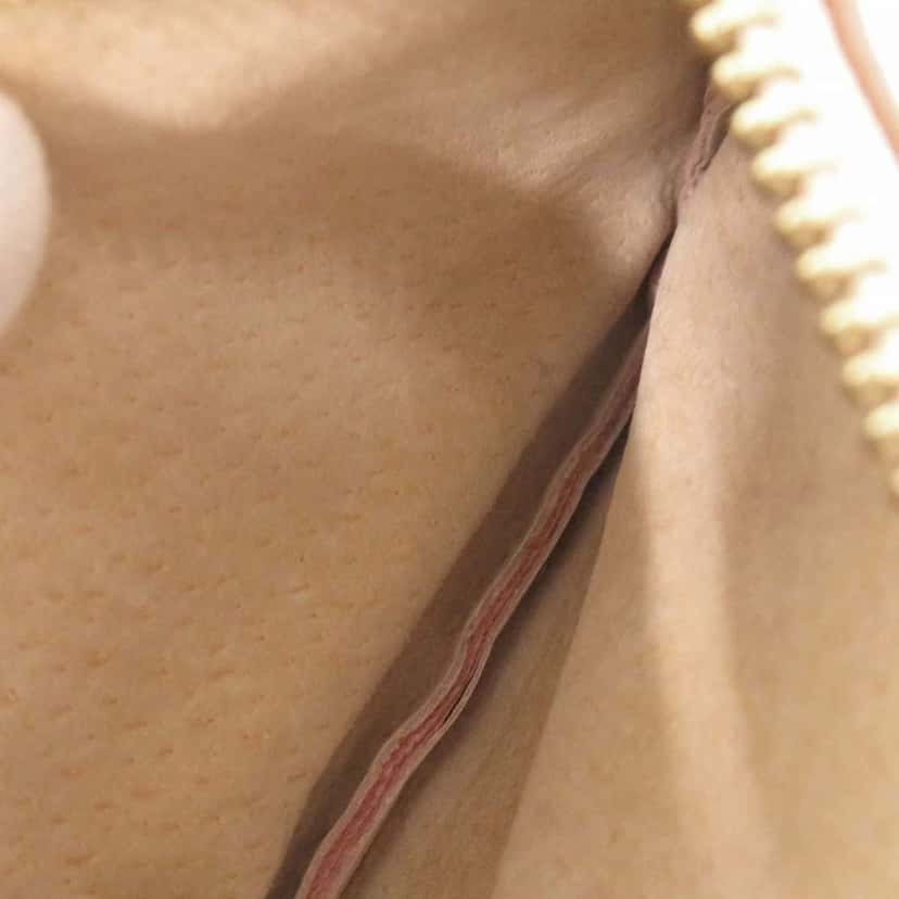Loewe Nappa Coin Pouch Pink Leather Very good condition - Model View