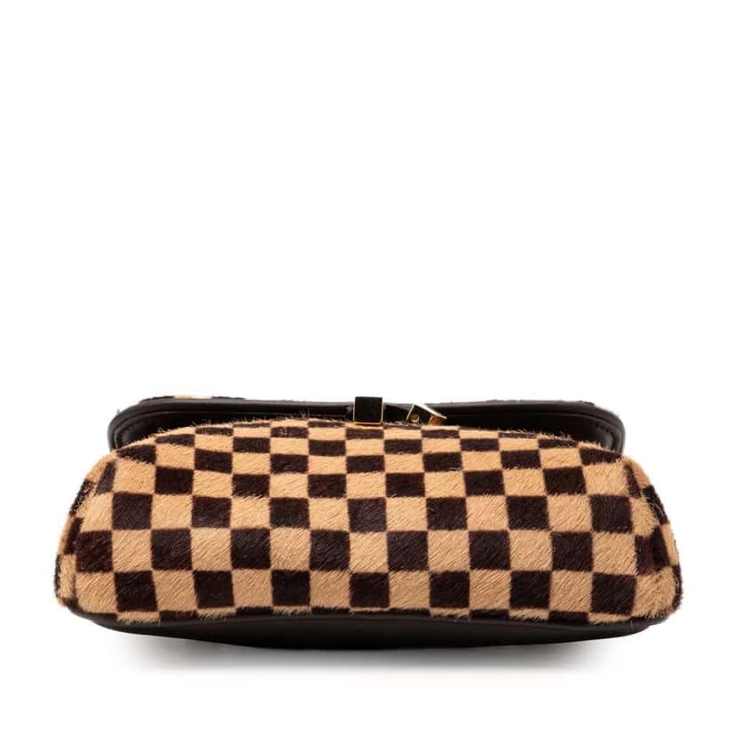 Louis Vuitton Damier Sauvage Gazelle Brown Good condition - Inside View