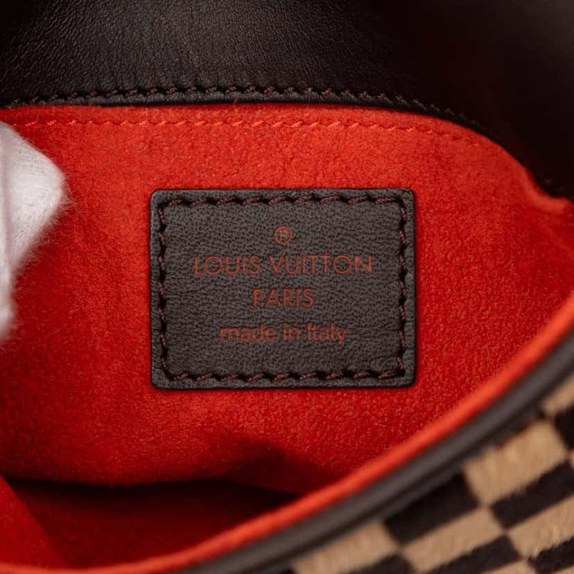 Louis Vuitton Damier Sauvage Gazelle Brown Good condition - Box View