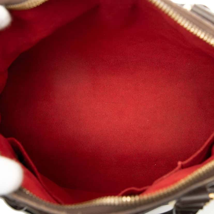 Louis Vuitton Damier Ebene Trevi PM Brown Good condition - Model View