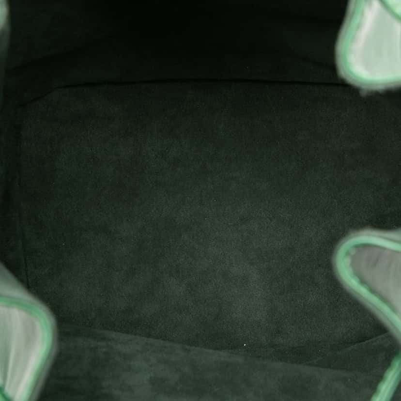 Louis Vuitton Epi Noe GM Green Leather Good condition - Model View