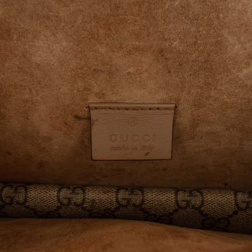 Gucci Medium GG Supreme Dionysus Crossbody Beige Canvas Good condition - Box View