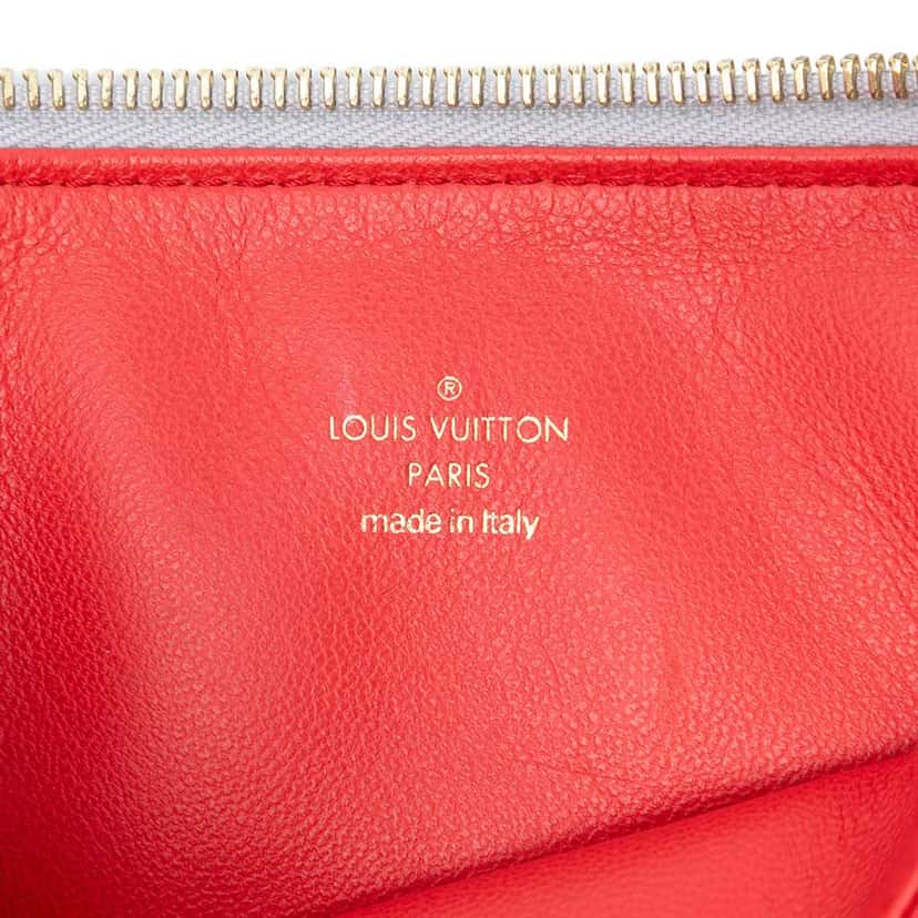 Louis Vuitton Monogram Embossed Puffy Lambskin Coussin PM Silver Leather Very good condition - Box View