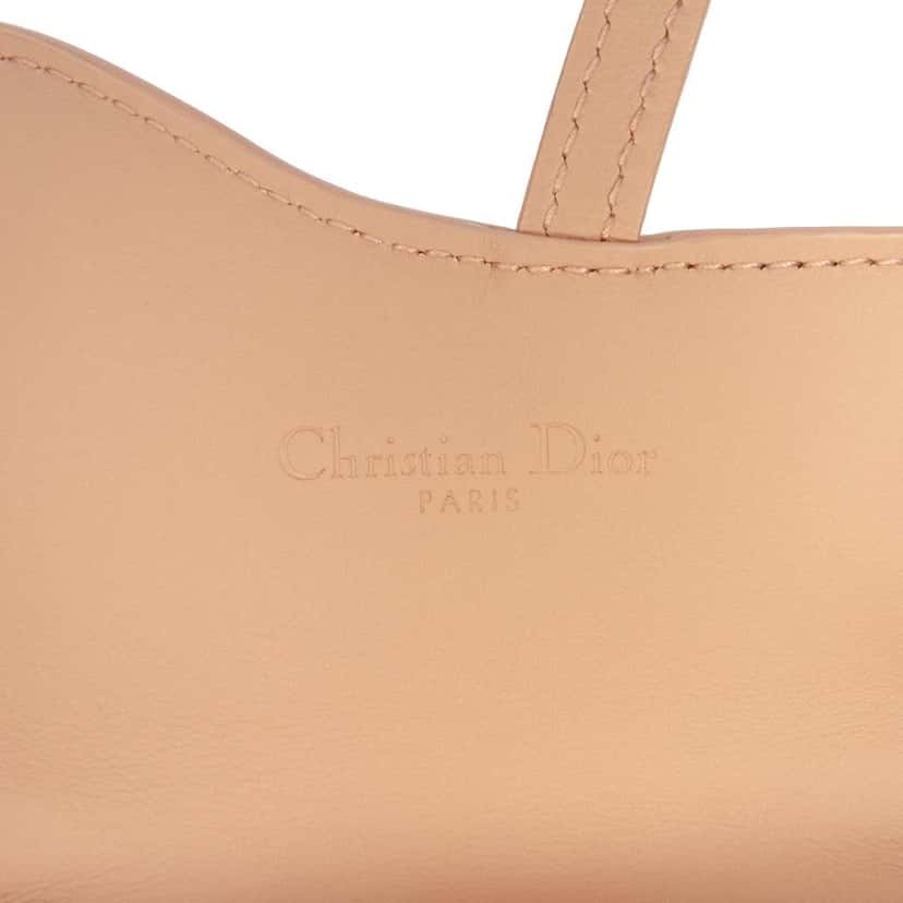 Dior Nano Ultra Matte Calfskin Saddle Chain Pouch Brown Leather Never worn - Box View