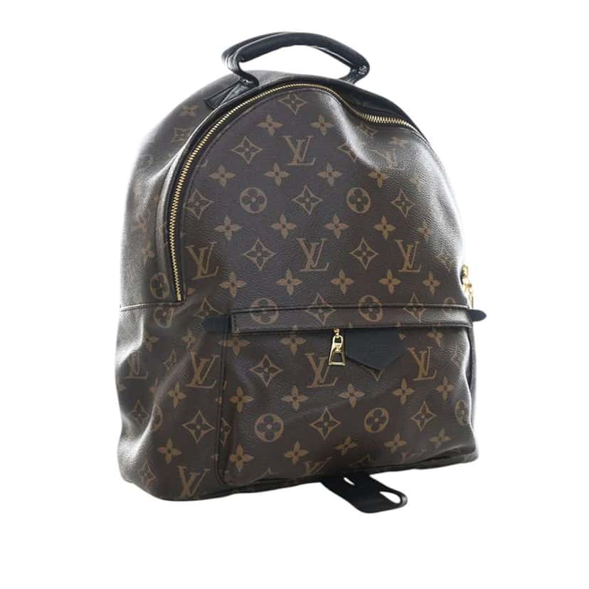 Louis Vuitton Monogram Palm Springs MM Brown Very good condition - Back View