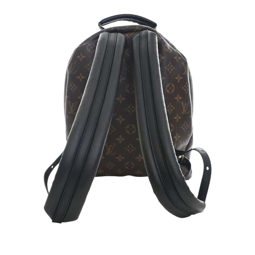 Louis Vuitton Monogram Palm Springs MM Brown Very good condition - Model View