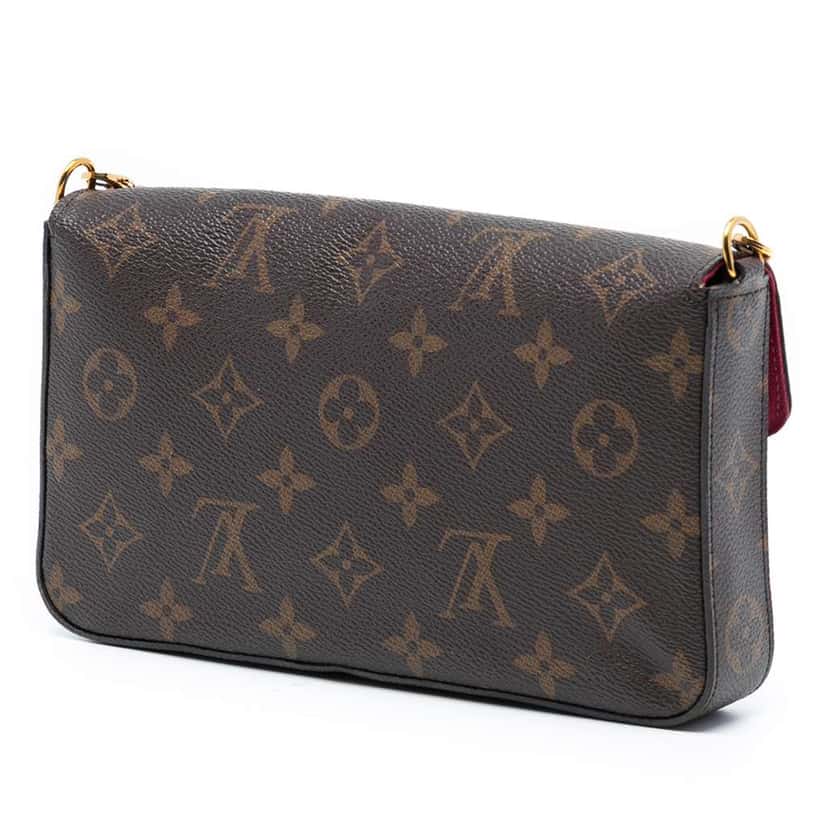Louis Vuitton Monogram Pochette Felicie Brown Good condition - Back View