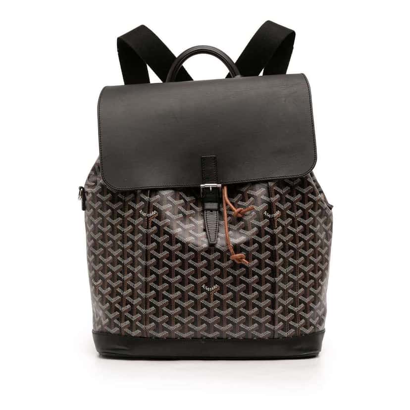 Goyard Goyardine Alpin Backpack MM Black Canvas Good condition - Front View