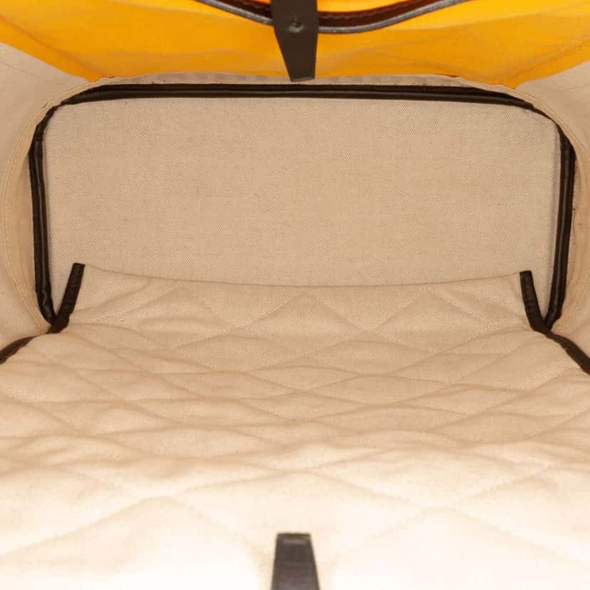 Goyard Goyardine Alpin Backpack MM Black Canvas Good condition - Model View