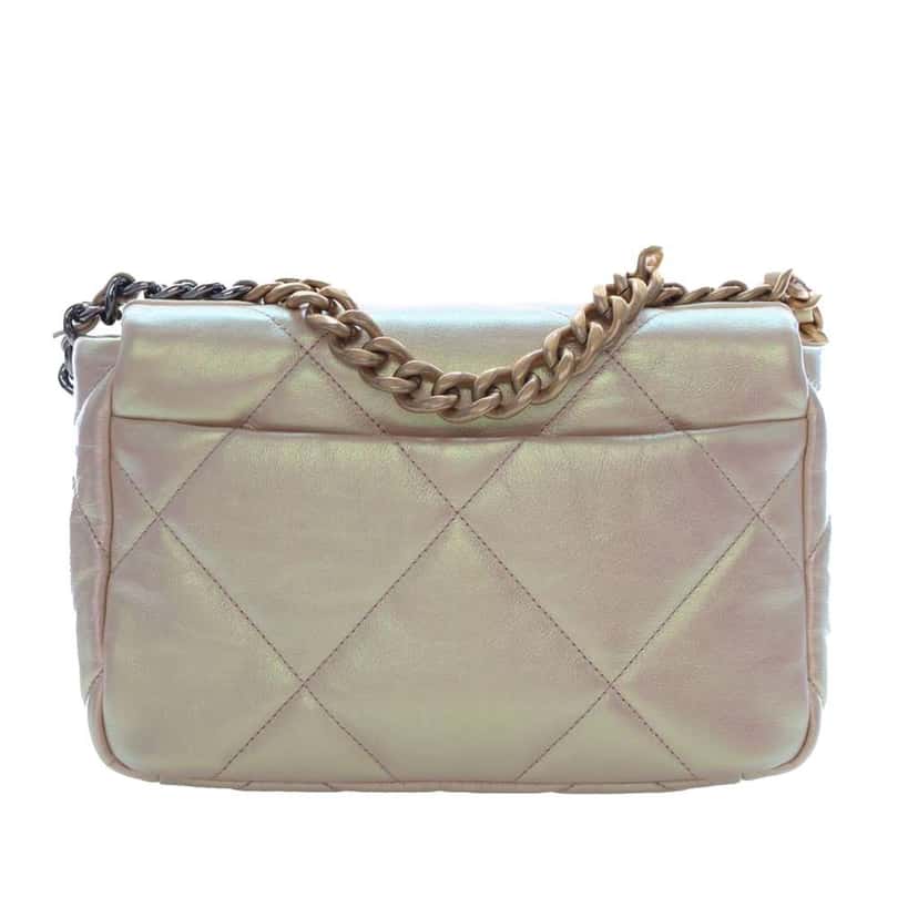 Chanel Medium Iridescent Calfskin 19 Flap Beige Leather Good condition - Model View