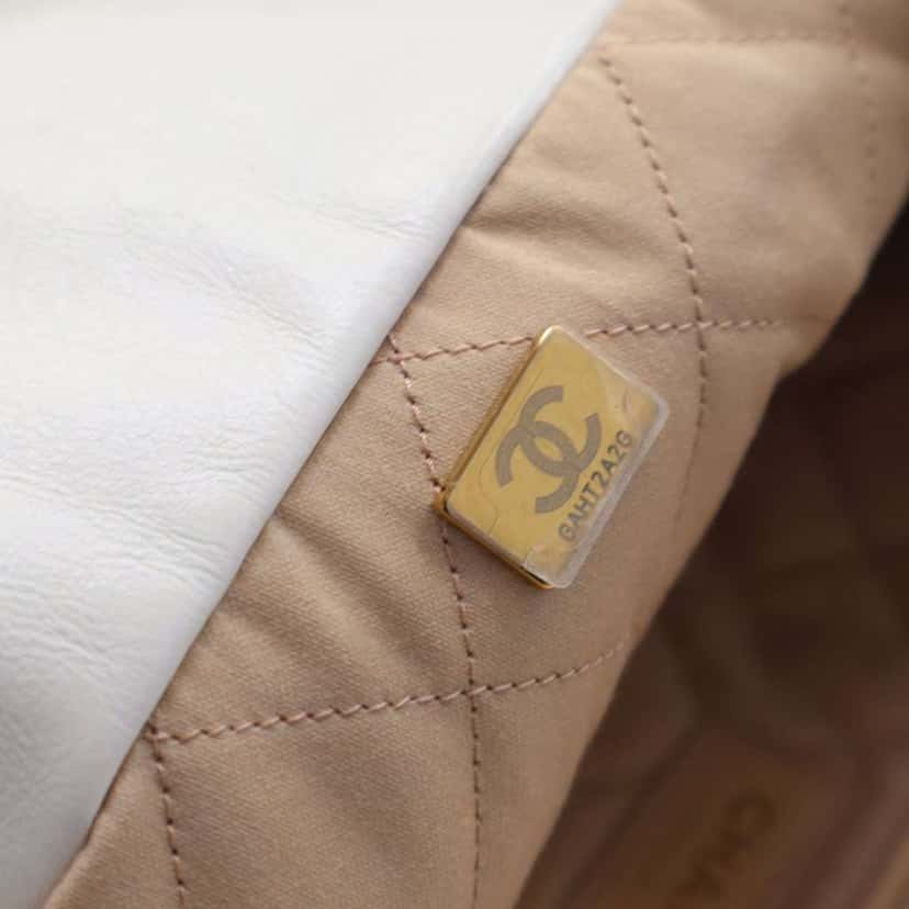 Chanel Small Quilted Shiny Calfskin Chain 22 Handbag White Leather Good condition - Model View