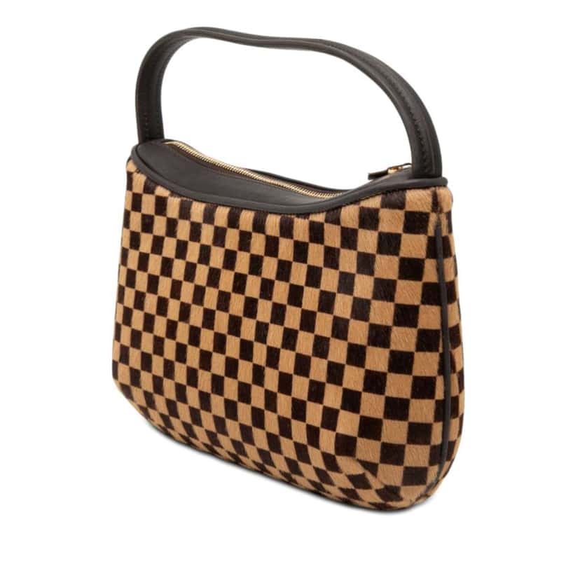 Louis Vuitton Damier Sauvage Tigre Brown Very good condition - Back View