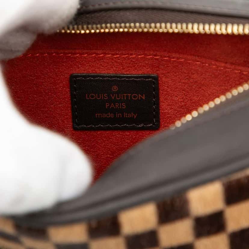Louis Vuitton Damier Sauvage Tigre Brown Very good condition - Box View