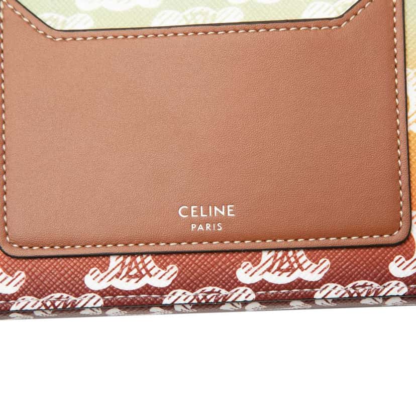 Celine Triomphe Coated Canvas Sunset Logo Horizontal Pouch Brown Canvas Very good condition - Box View