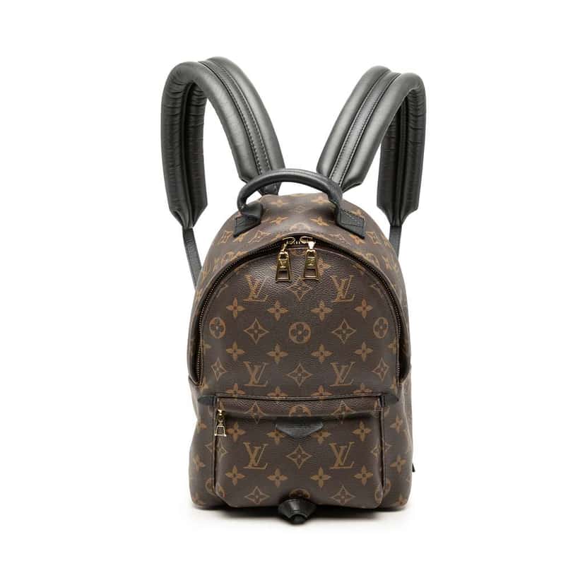 Louis Vuitton Monogram Palm Springs PM Brown Very good condition - Front View