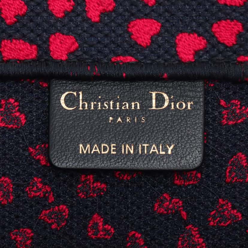 Dior Medium Canvas Pop Hearts I Love Paris Book Tote Red Canvas Very good condition - Model View