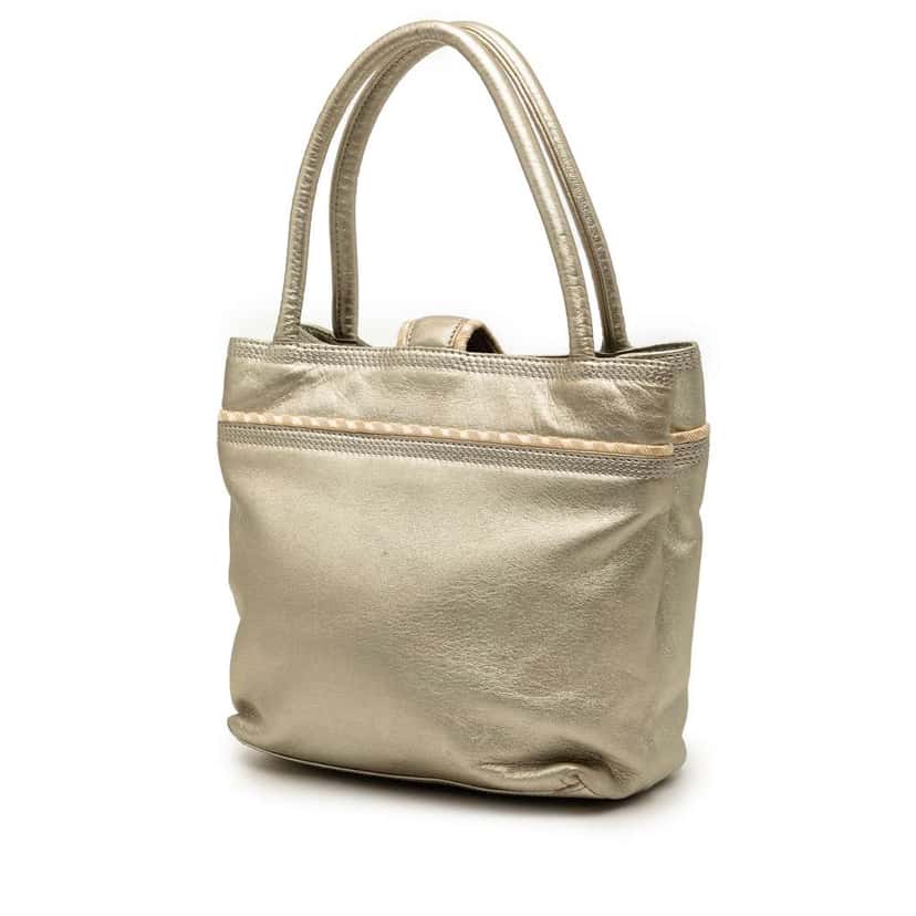 Loewe Metallic Leather Fringe Tassel Handbag Gold Leather Very good condition - Back View