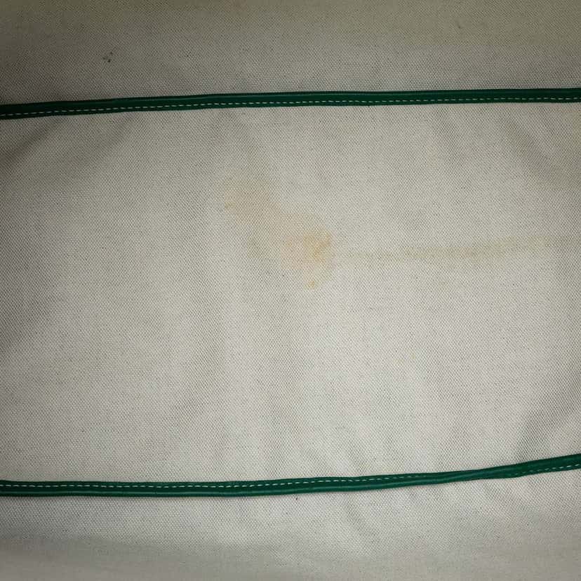 Goyard Goyardine Saint Louis GM Green Canvas Very good condition - Model View