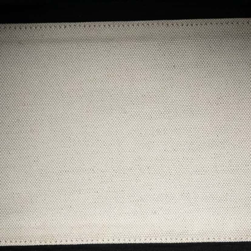 Balenciaga Canvas Striped Navy Cabas S Blue Canvas Very good condition - Model View