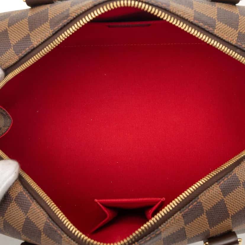 Louis Vuitton Damier Ebene Ribera MM Brown Very good condition - Model View