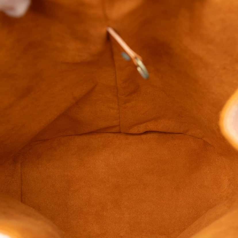 Louis Vuitton Epi Randonnee PM Brown Leather Very good condition - Model View