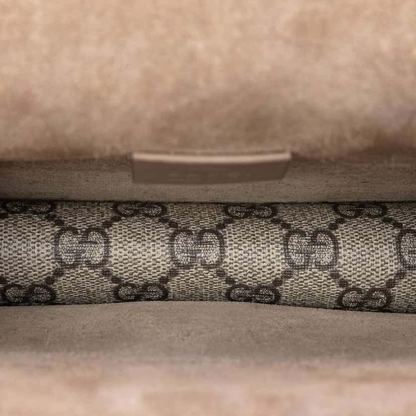 Gucci Small GG Supreme Dionysus Crossbody Beige Very good condition - Model View