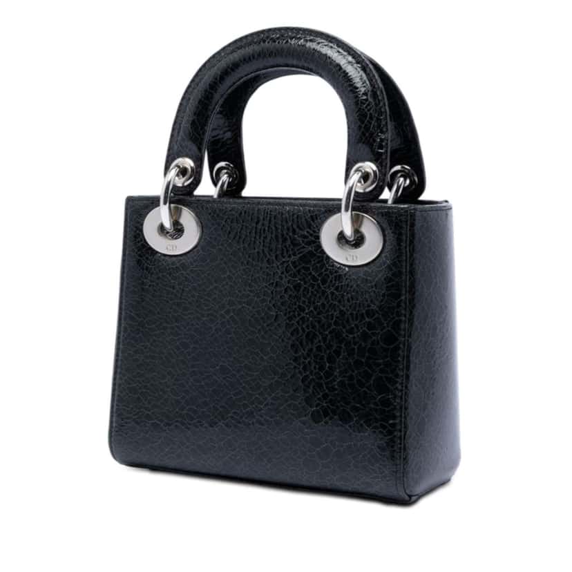 Dior Mini Deerskin Ceramic Effect Jeweled Swan Lady Dior Black Leather Very good condition - Back View