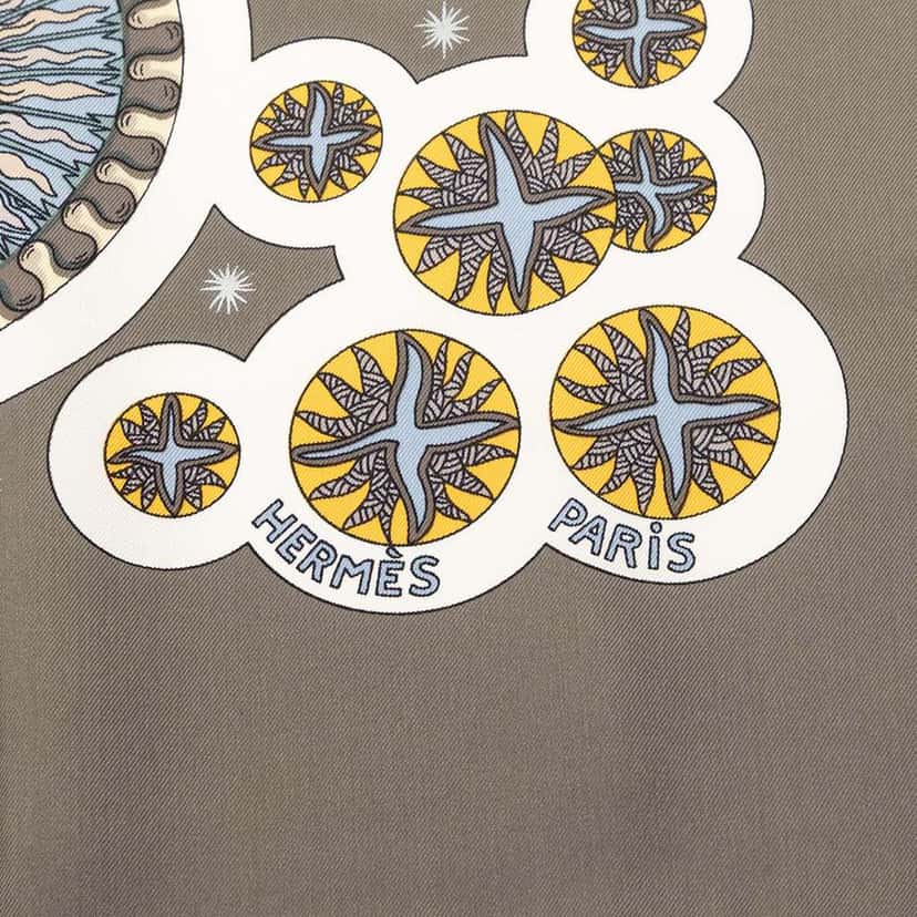 Hermès Le Roy Soleil Silk Scarf 90 Brown Silk Very good condition - Box View