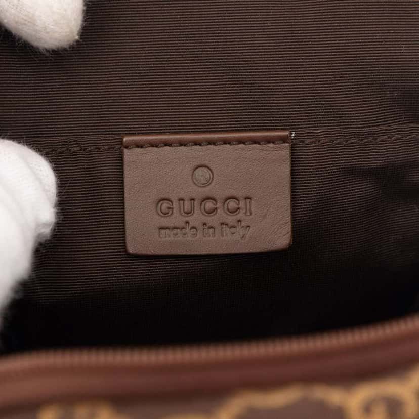 Gucci Mini GG Canvas Double Zip Crossbody Brown Canvas Very good condition - Box View