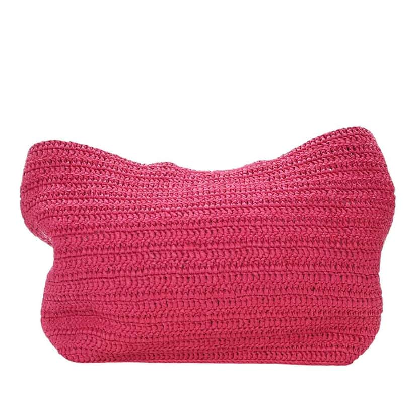 Saint Laurent Raffia Rive Gauche Tote Pink Never worn - Model View