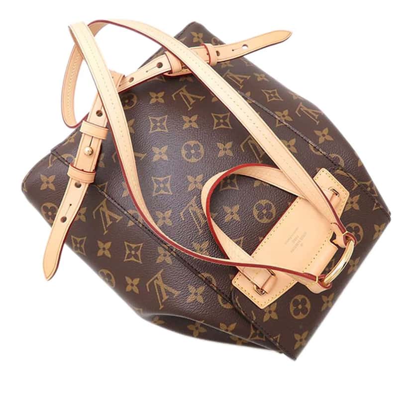 Louis Vuitton Monogram Montsouris Brown Very good condition - Model View